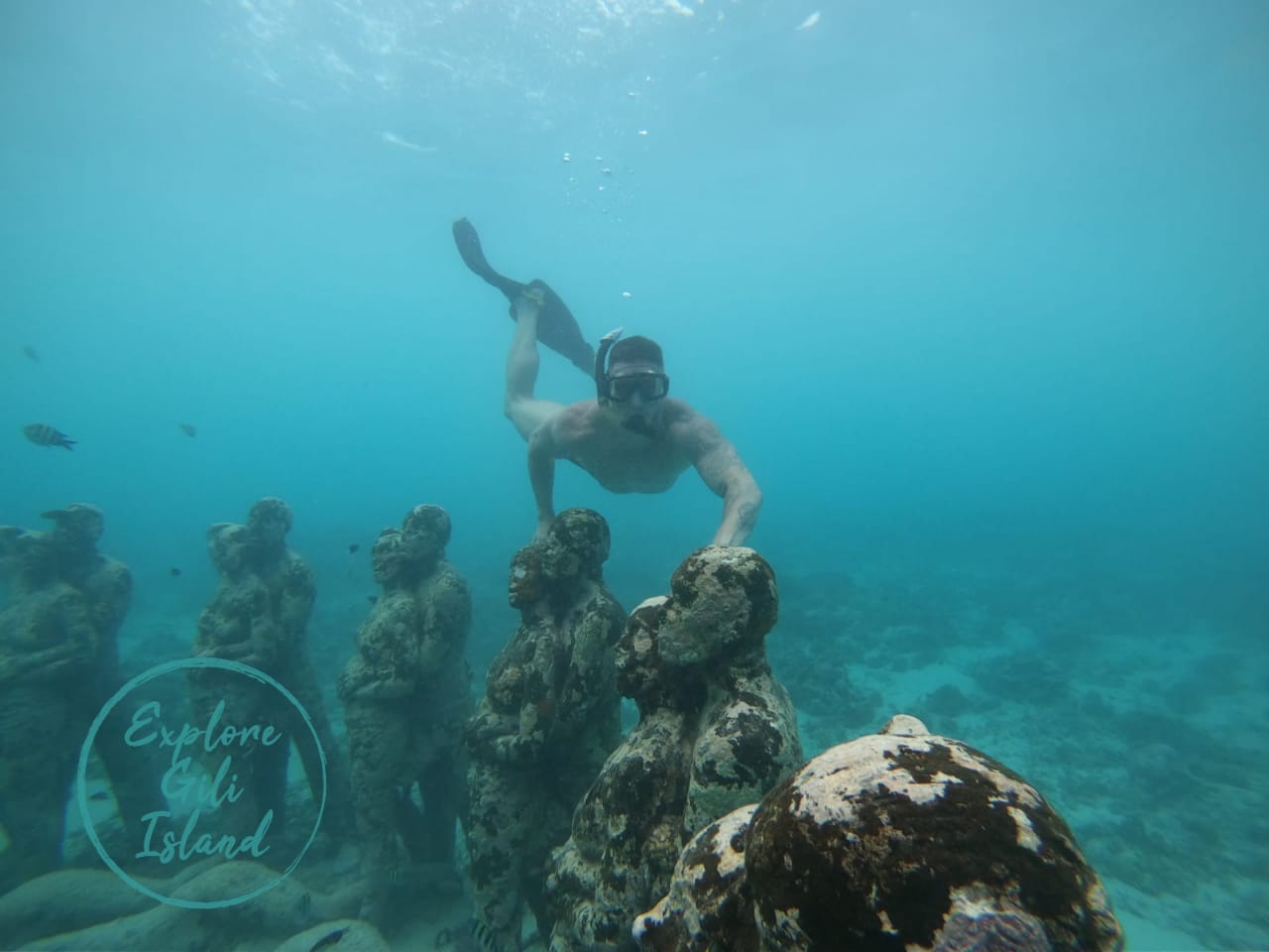 WhatsApp Image 2023-02-03 at 10.02.49 (2)