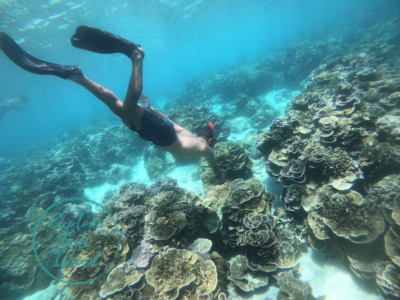 WhatsApp Image 2023-02-03 at 10.02.52