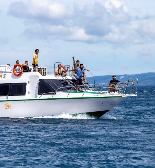 WhatsApp Image 2024-02-23 at 11.22.57