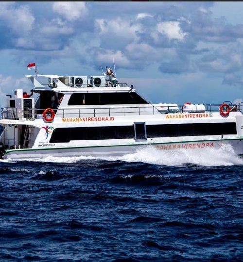 WhatsApp Image 2024-02-23 at 11.22.58