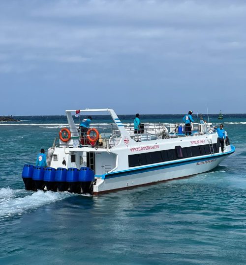 WhatsApp Image 2025-04-19 at 21.04.10 (2)